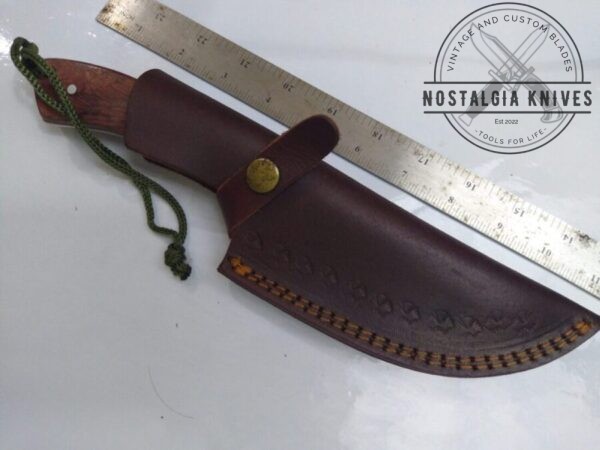 SwissTech 10″ Fixed-Blade w/Gut Hook and leather belt sheath. Fixed-Blade cutlery