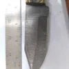 Custom Hand-forged 8" Damascus Clip-Point Knife with False Edge, and Leather Belt Sheath. - Image 5