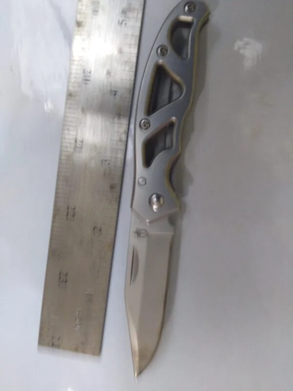 Gerber Gear Paraframe Stainless Steel Mini Pocket Knife – 2.2″ Folding Knife[Used – Pristine Cond.] Everyday Carry[EDC] cutlery