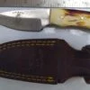 The Bone Collector 6" Fixed blade Drop-point knife with Leather Belt Sheath [Used - Mint Cond.].
