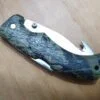 Mossy Oak ProHunter Gut Hook Knife, Spine-Lock single blade folding hunter[Used - Good Cond.] - Image 2