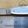 Vintage Single Blade  Lark Pocket knife with brass bail - Powder Blue[Unused - Pristine Cond.] - Image 3