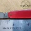 Vintage Single Blade Lark Pocket knife with brass bail - Light Red[Unused - Pristine Cond.] - Image 5