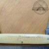 Rare Vintage W.R. Case & Bros. 2 blade Office Knife[Used - Near Mint Cond.]