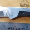 Large 9" Hunter/Folder Single Blade Spine-Lock Knife[Used - Mint Cond.] - Image 5