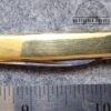 Vintage Italian Latama 14k Gold 2 blade Executive Knife w/ 12k Gold Bail[Used - Pristine Cond.]