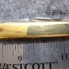 Vintage Italian Latama 14k Gold 2 blade Executive Knife w/ 12k Gold Bail[Used - Pristine Cond.] - Image 6
