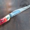 Eagle Edge Medium Toothpick Single Blade Pocket Knife with Jigged Bone Handle[Unused - Pristine Mint Cond.] - Image 3