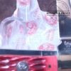 Hen & Rooster™ HRI312-RPB 4.125"Red Pick Bone 2 Blade Trapper 4116gs  [Unused-Pristine Mint Cond.] - Image 8